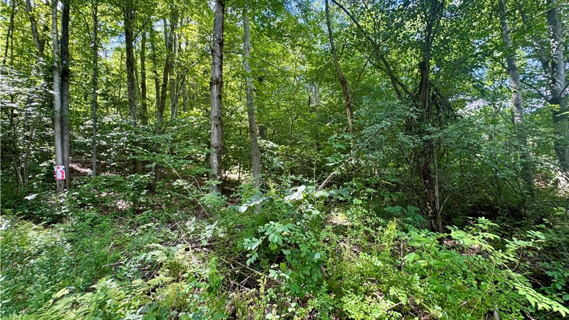 Property at 0 Breed Hollow Road, Catlin, NY 14830 3