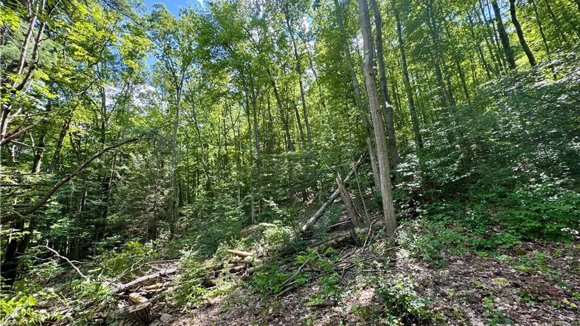 Property at 0 Breed Hollow Road, Catlin, NY 14830 4