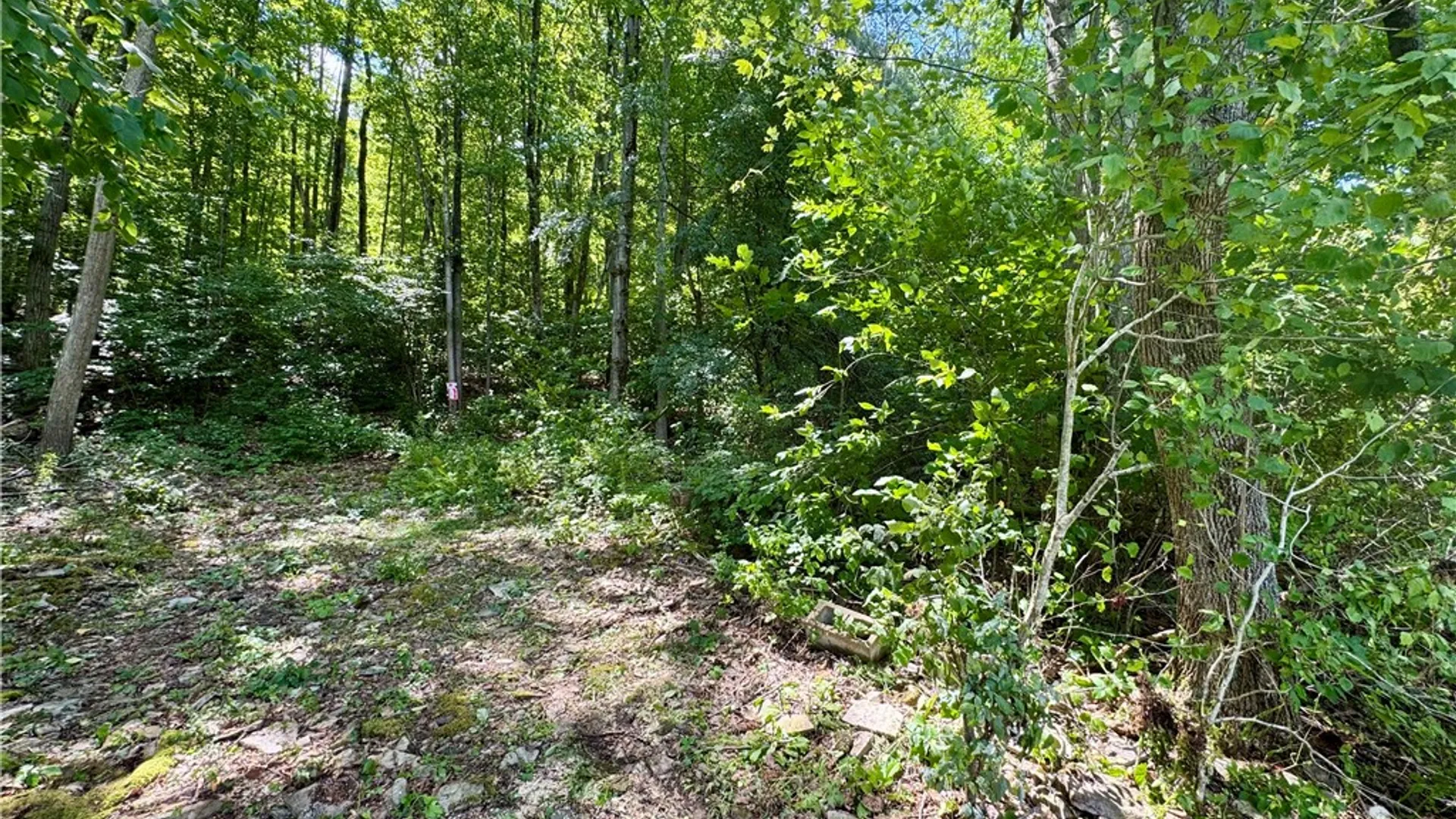 Property at 0 Breed Hollow Road, Catlin, NY 14830 5