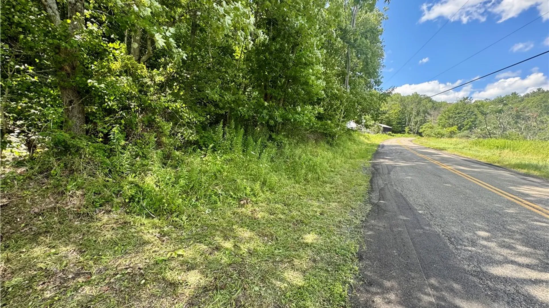 Property at 0 Breed Hollow Road, Catlin, NY 14830 6