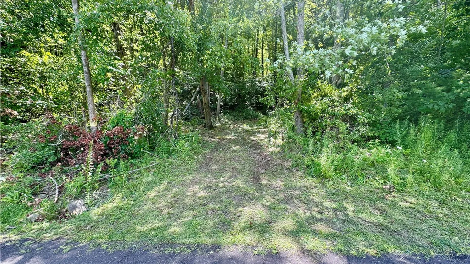 Property at 0 Breed Hollow Road, Catlin, NY 14830 8