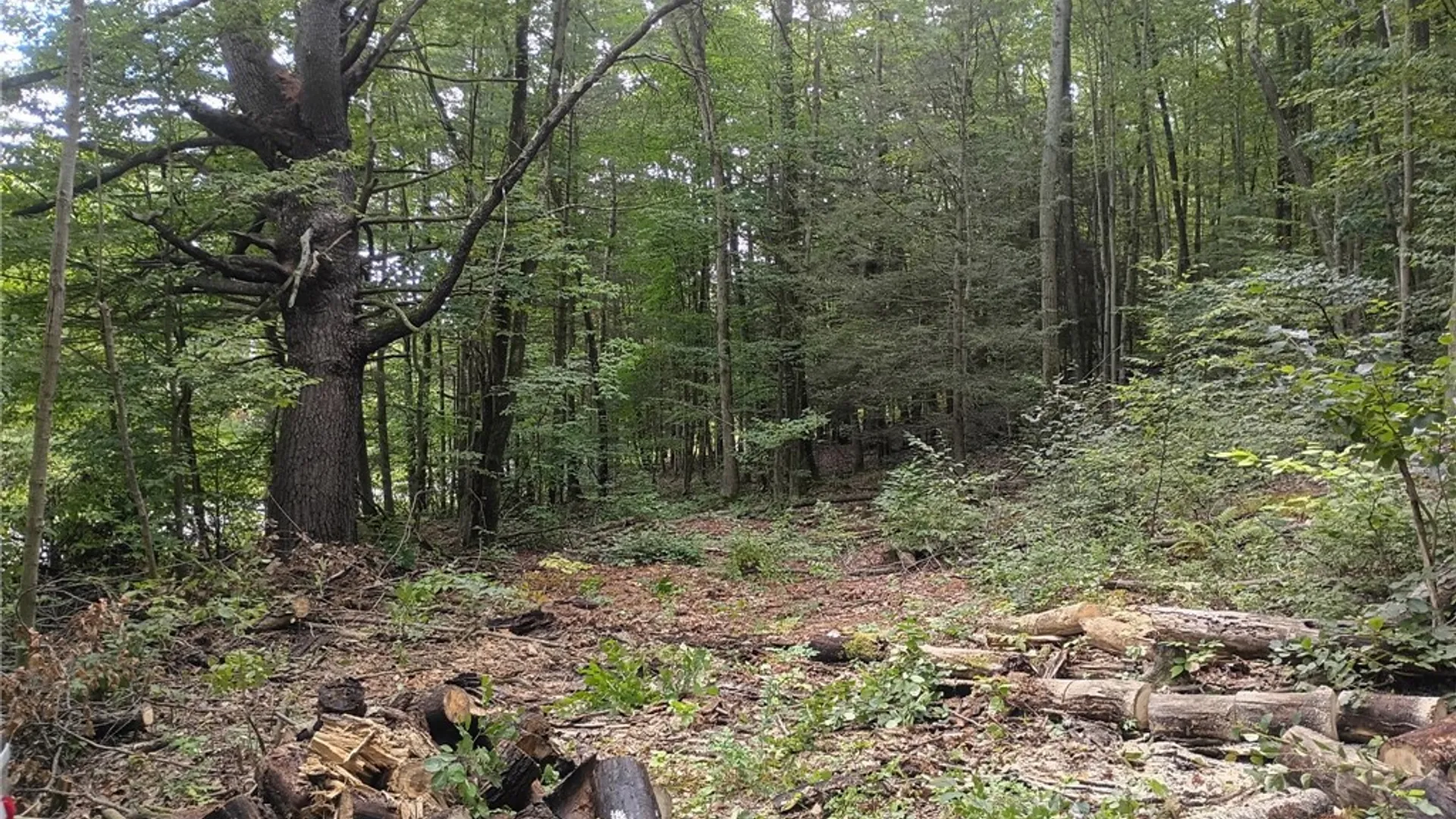 Property at 0 Breed Hollow Road, Catlin, NY 14830 9
