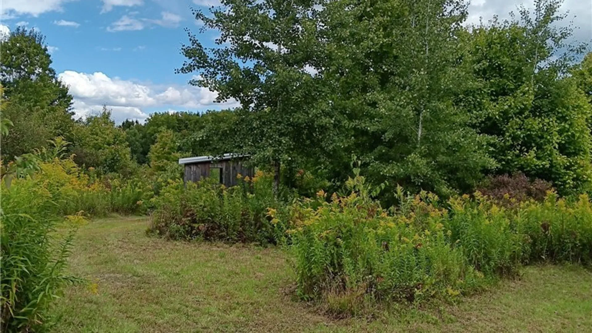 Property at 4101 Hopkins Road, Ellington, NY 14747 23