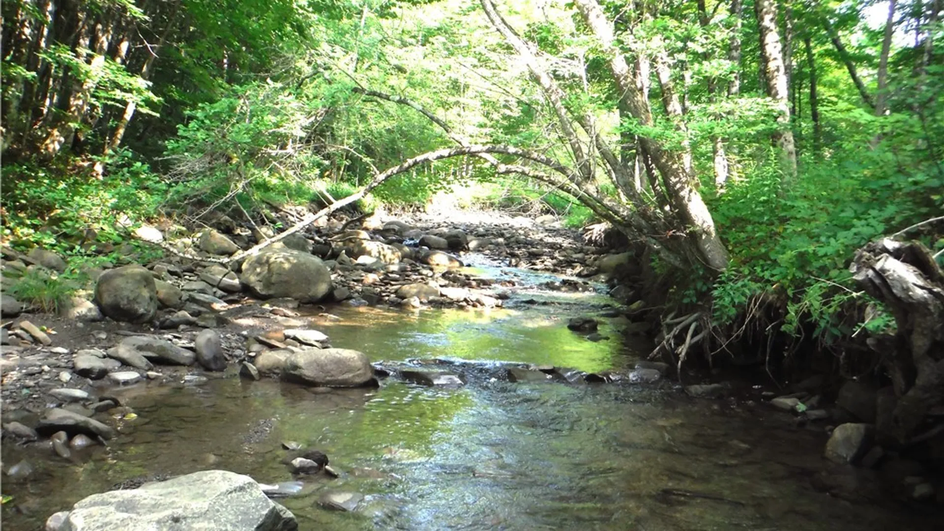 Property at 5500 Crofoot Hill Road, West Turin, NY 13325 31