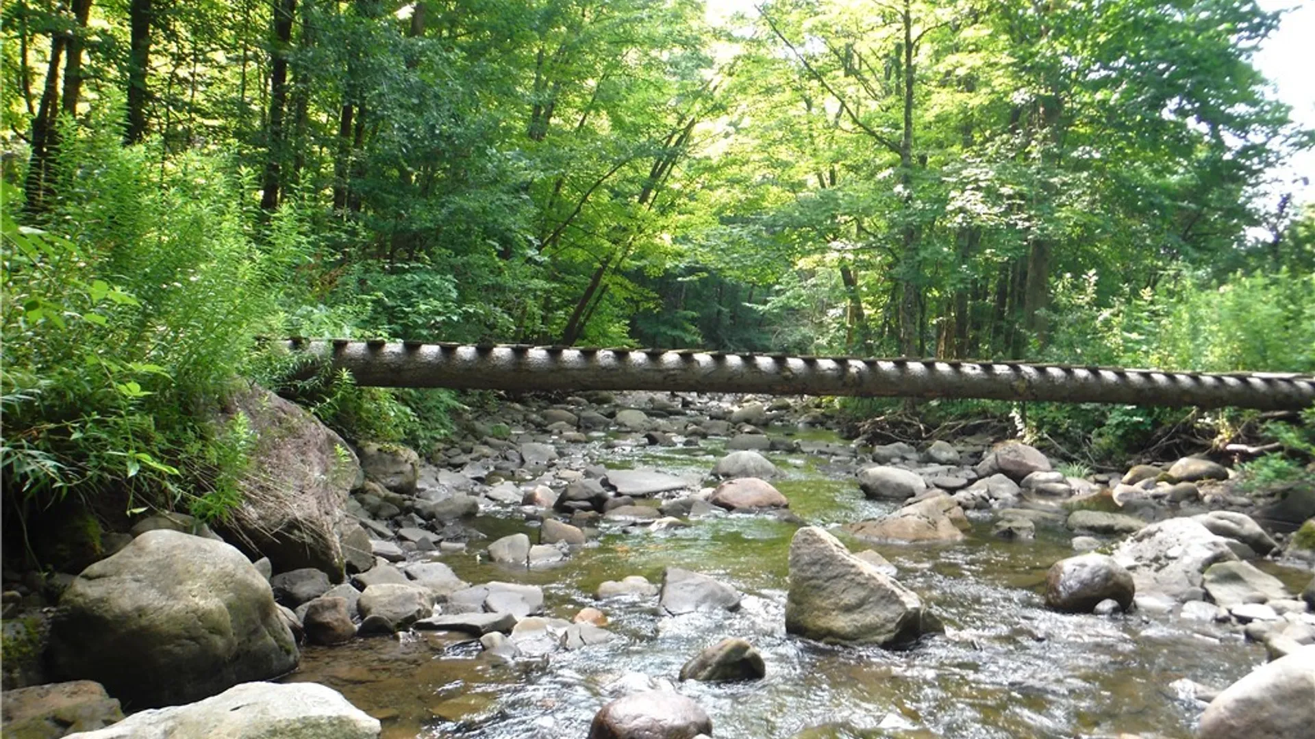 Property at 5500 Crofoot Hill Road, West Turin, NY 13325 32