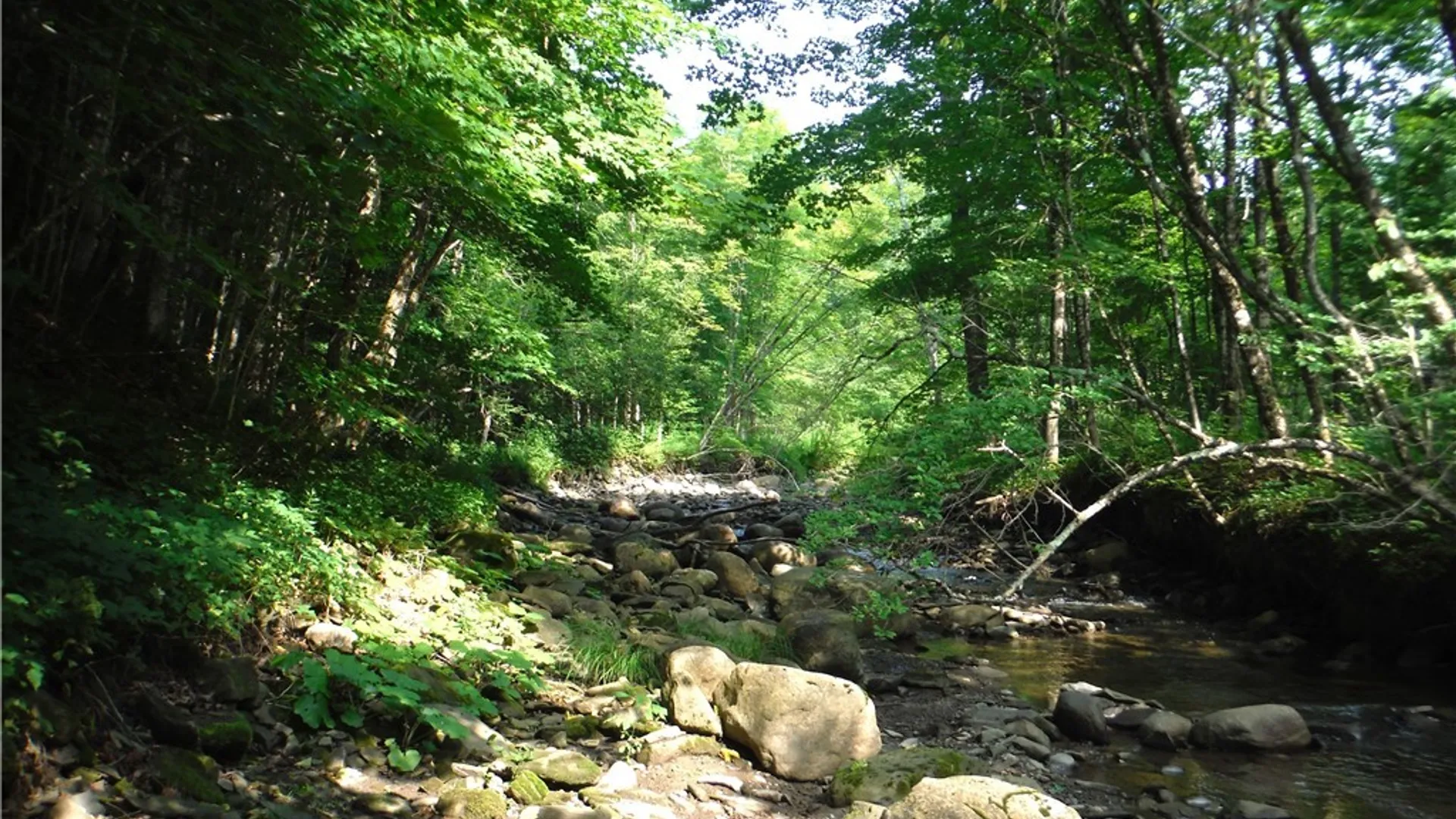 Property at 5500 Crofoot Hill Road, West Turin, NY 13325 34