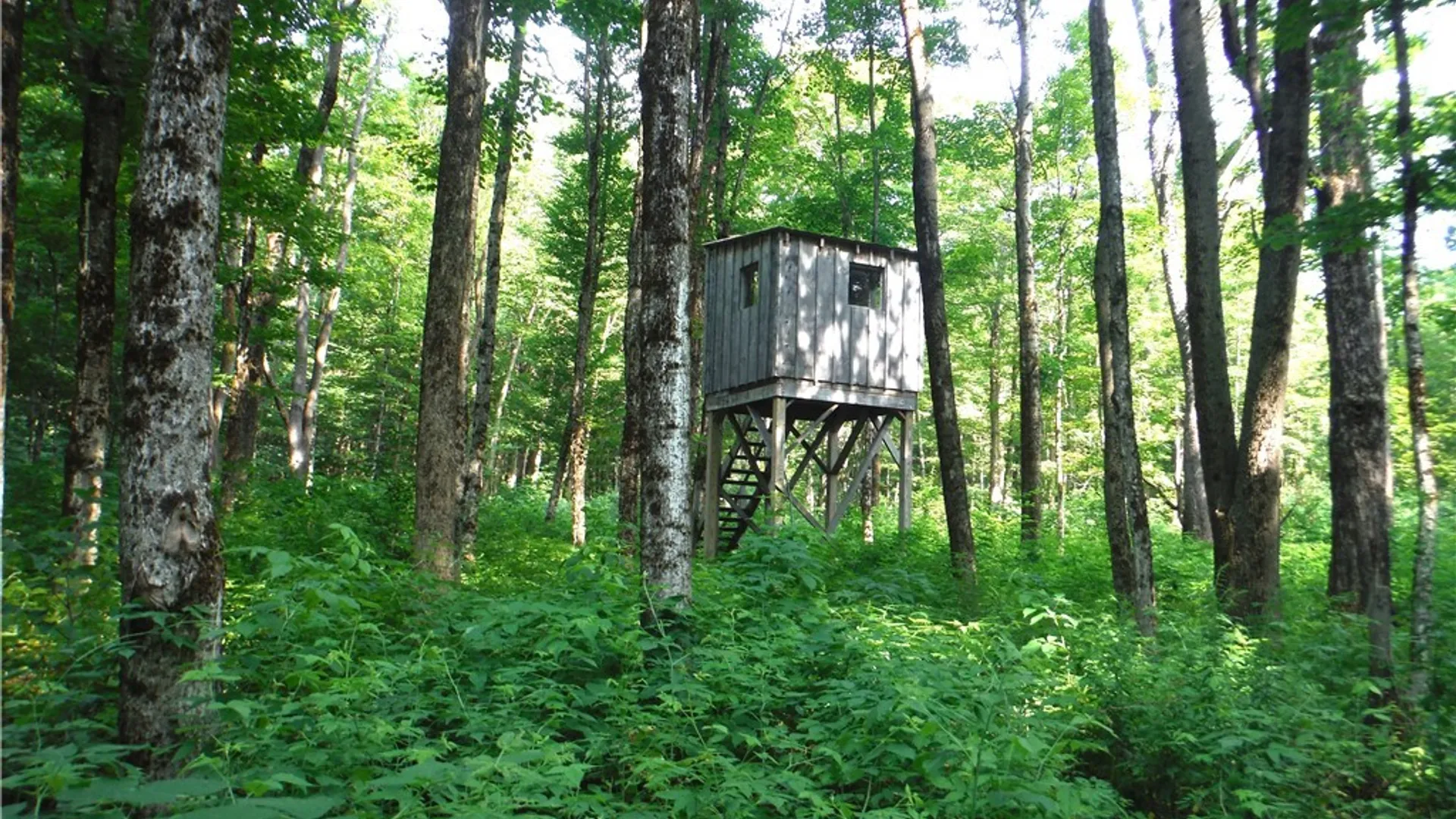 Property at 5500 Crofoot Hill Road, West Turin, NY 13325 36