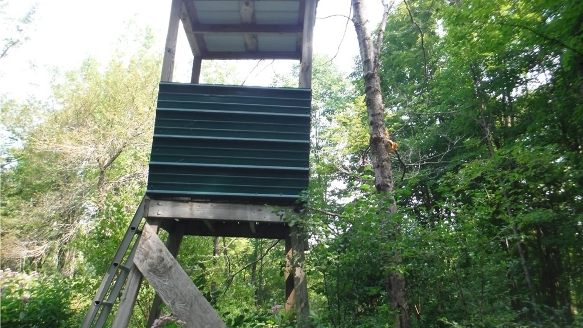 Property at 5500 Crofoot Hill Road, West Turin, NY 13325 37