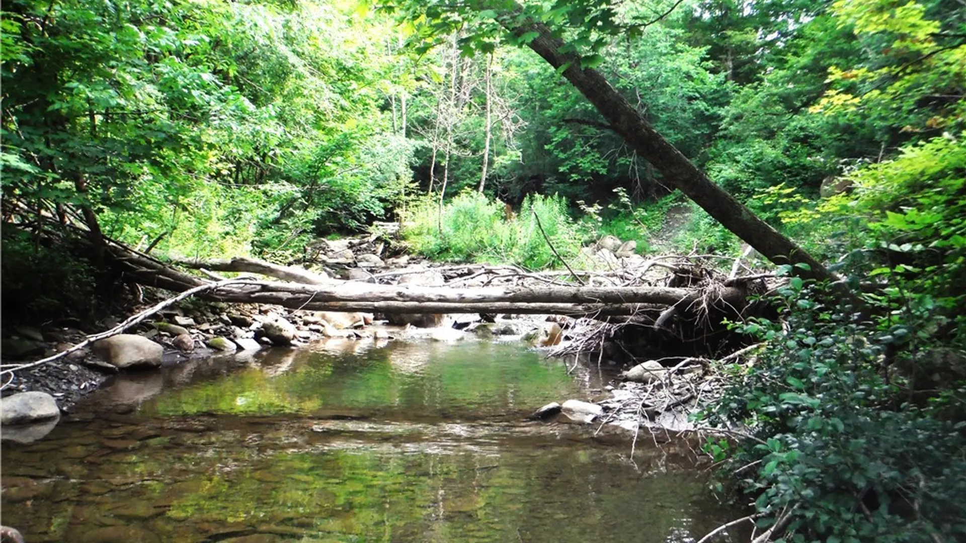 Property at 5500 Crofoot Hill Road, West Turin, NY 13325 43