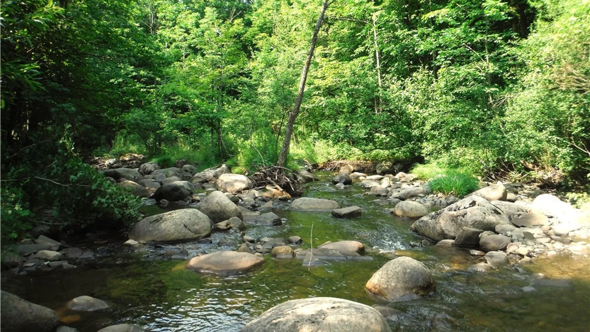 Property at 5500 Crofoot Hill Road, West Turin, NY 13325 44