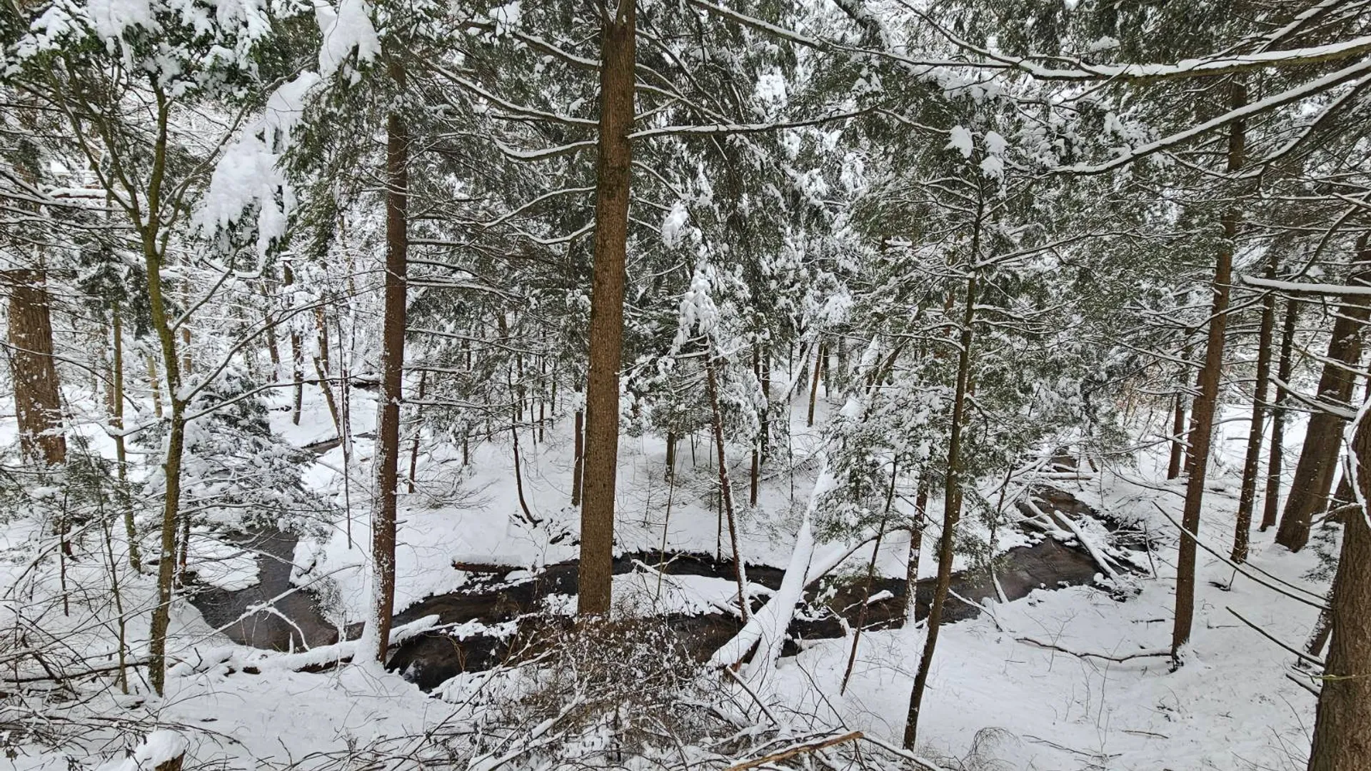 Property at 7900 New Floyd Rd, Floyd, NY 13440 4