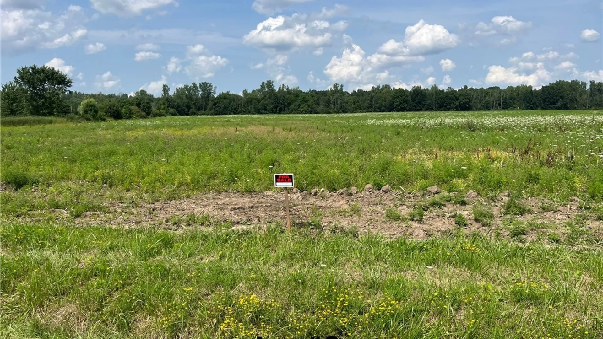 Property at V/L Miland Road, Newstead, NY 14001 4