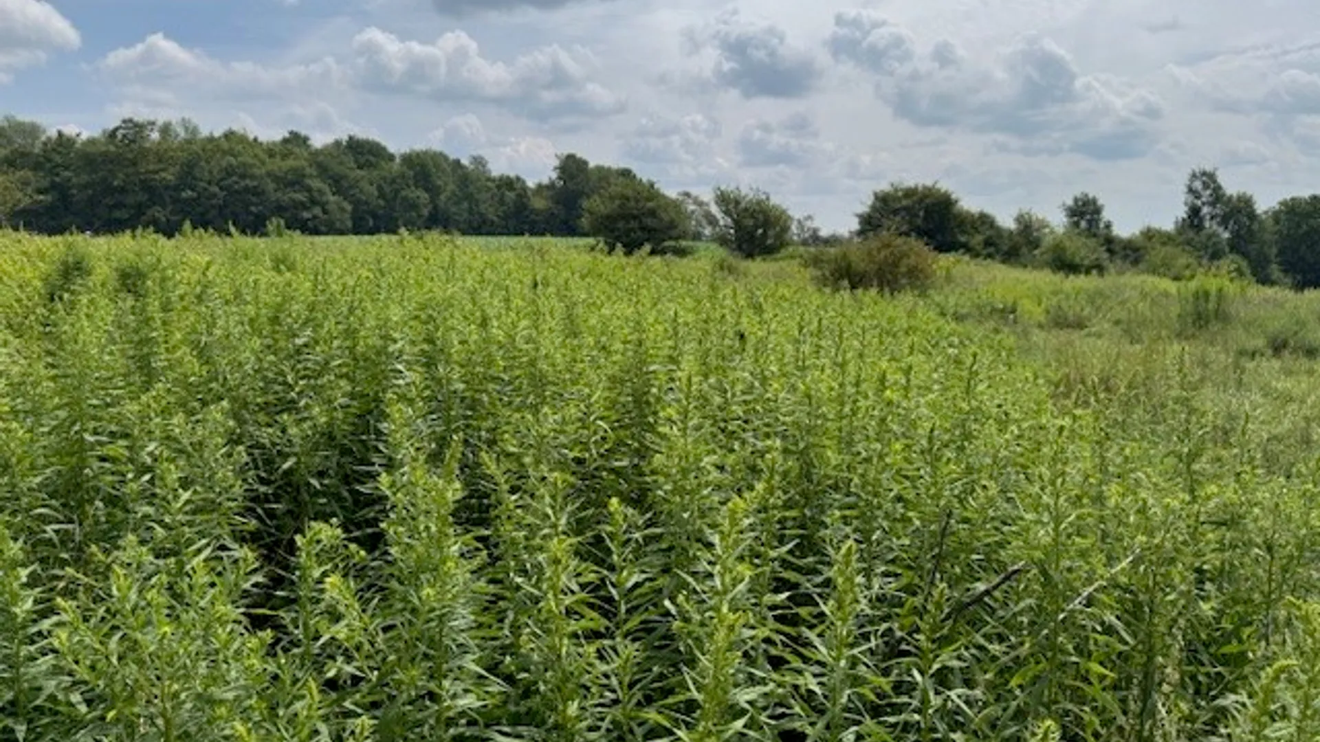 Property at 4380 State Highway 80, Columbus, NY 13460 13