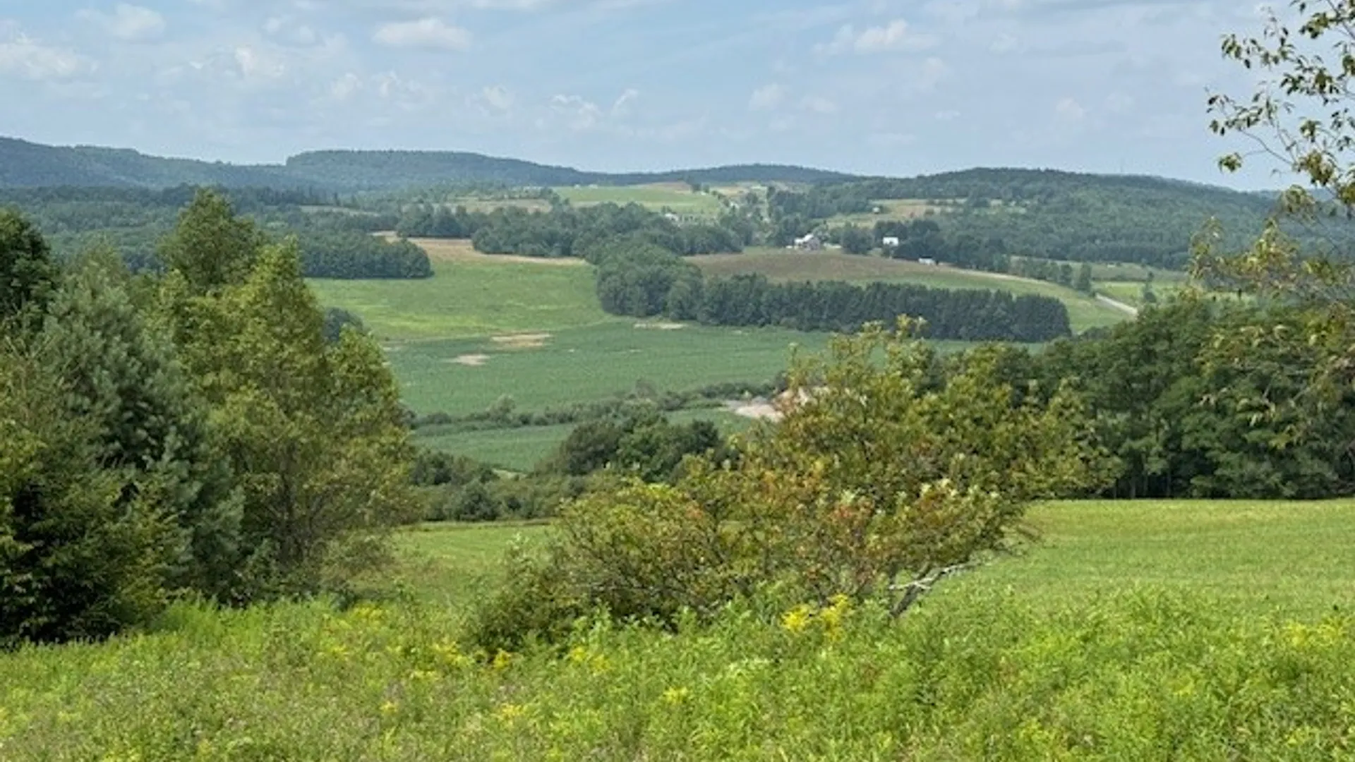 Property at 4380 State Highway 80, Columbus, NY 13460 2