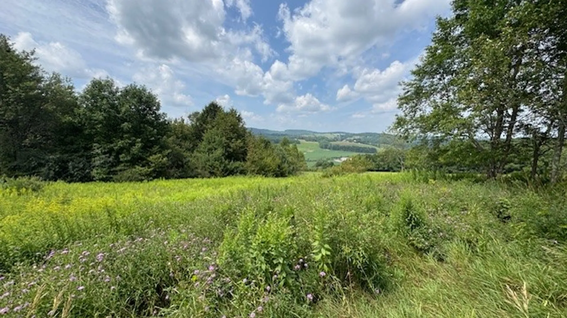 Property at 4380 State Highway 80, Columbus, NY 13460 20