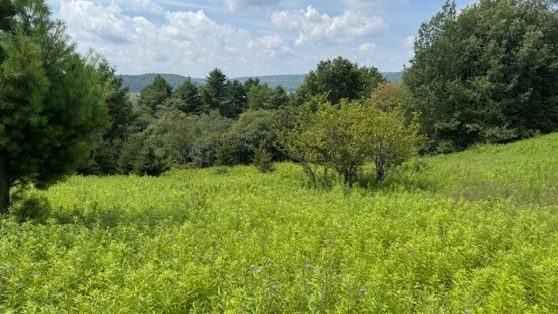 Property at 4380 State Highway 80, Columbus, NY 13460 21