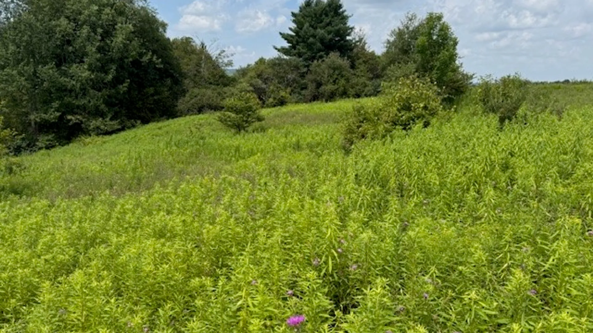 Property at 4380 State Highway 80, Columbus, NY 13460 22