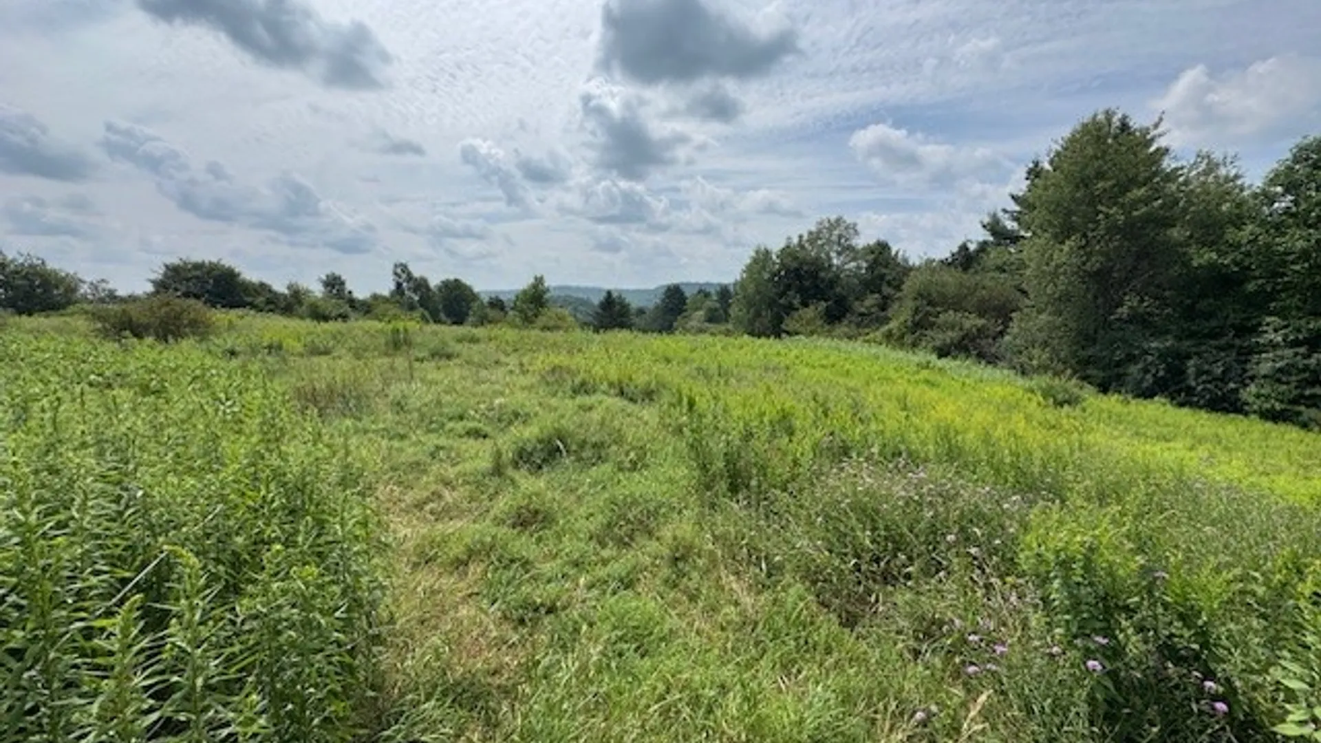 Property at 4380 State Highway 80, Columbus, NY 13460 24