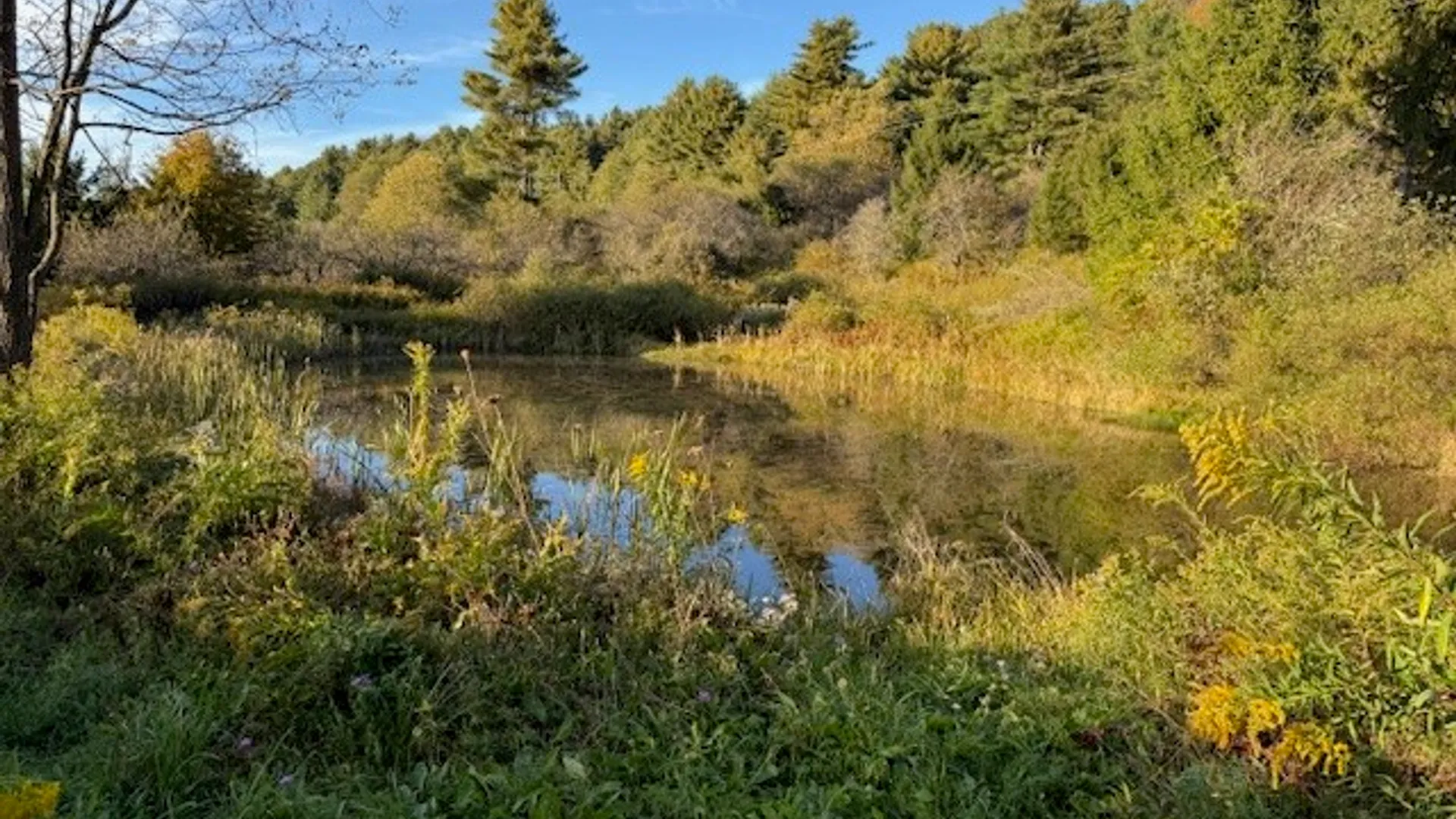 Property at 4380 State Highway 80, Columbus, NY 13460 30