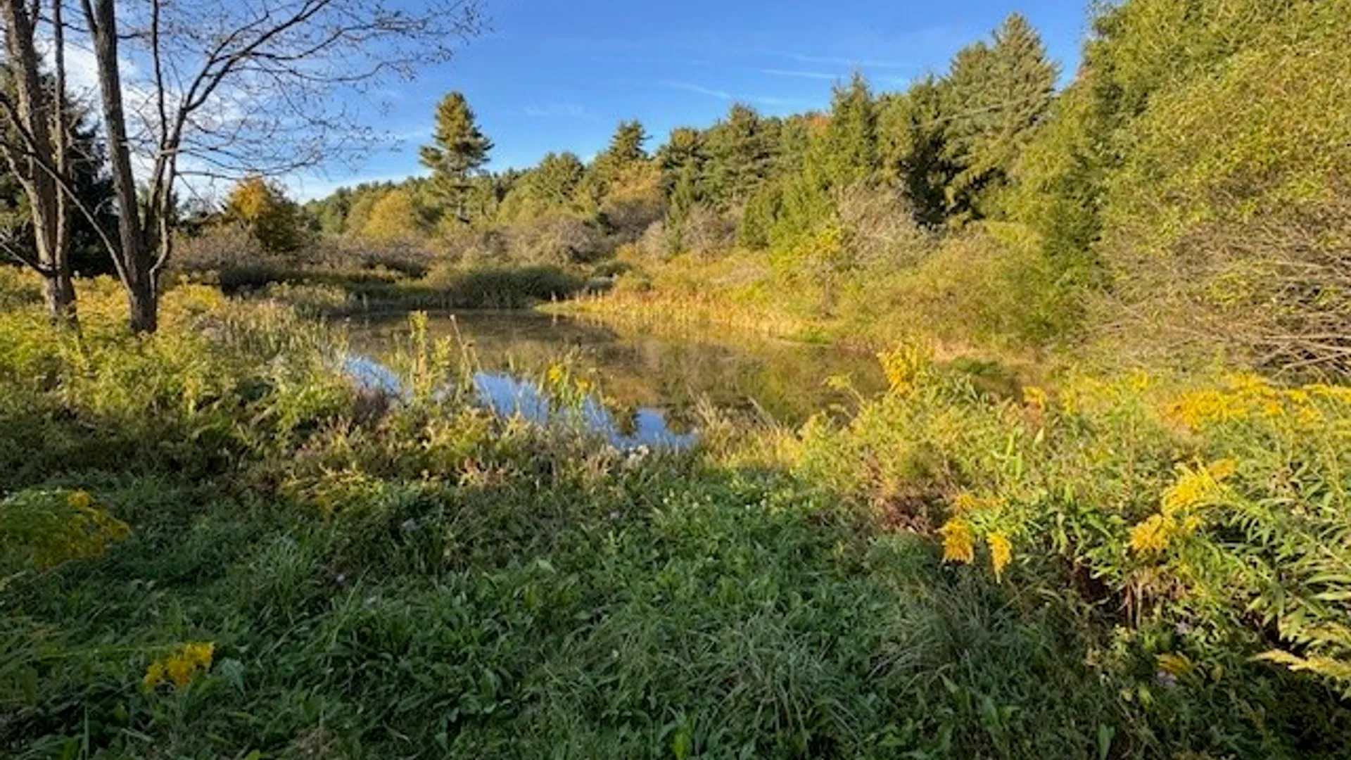 Property at 4380 State Highway 80, Columbus, NY 13460 33