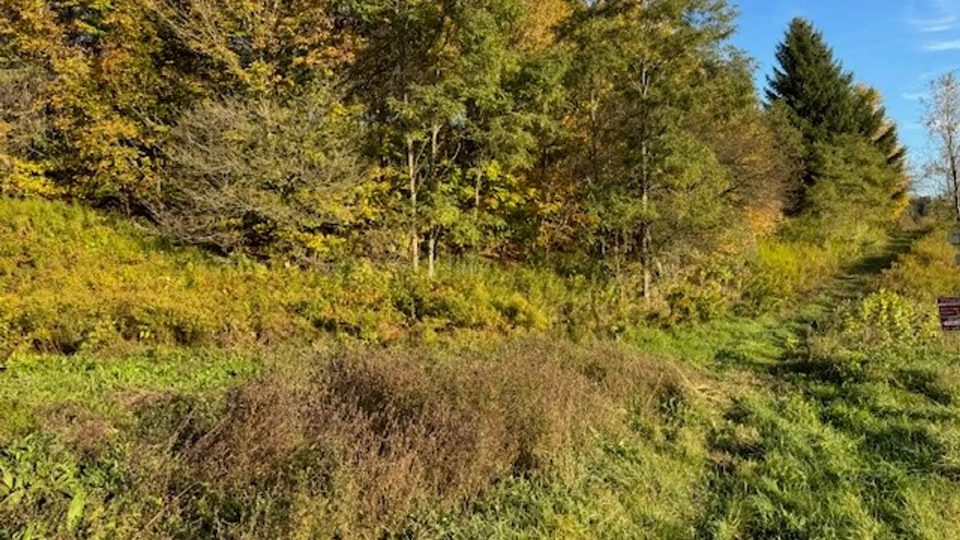 Property at 4380 State Highway 80, Columbus, NY 13460 37