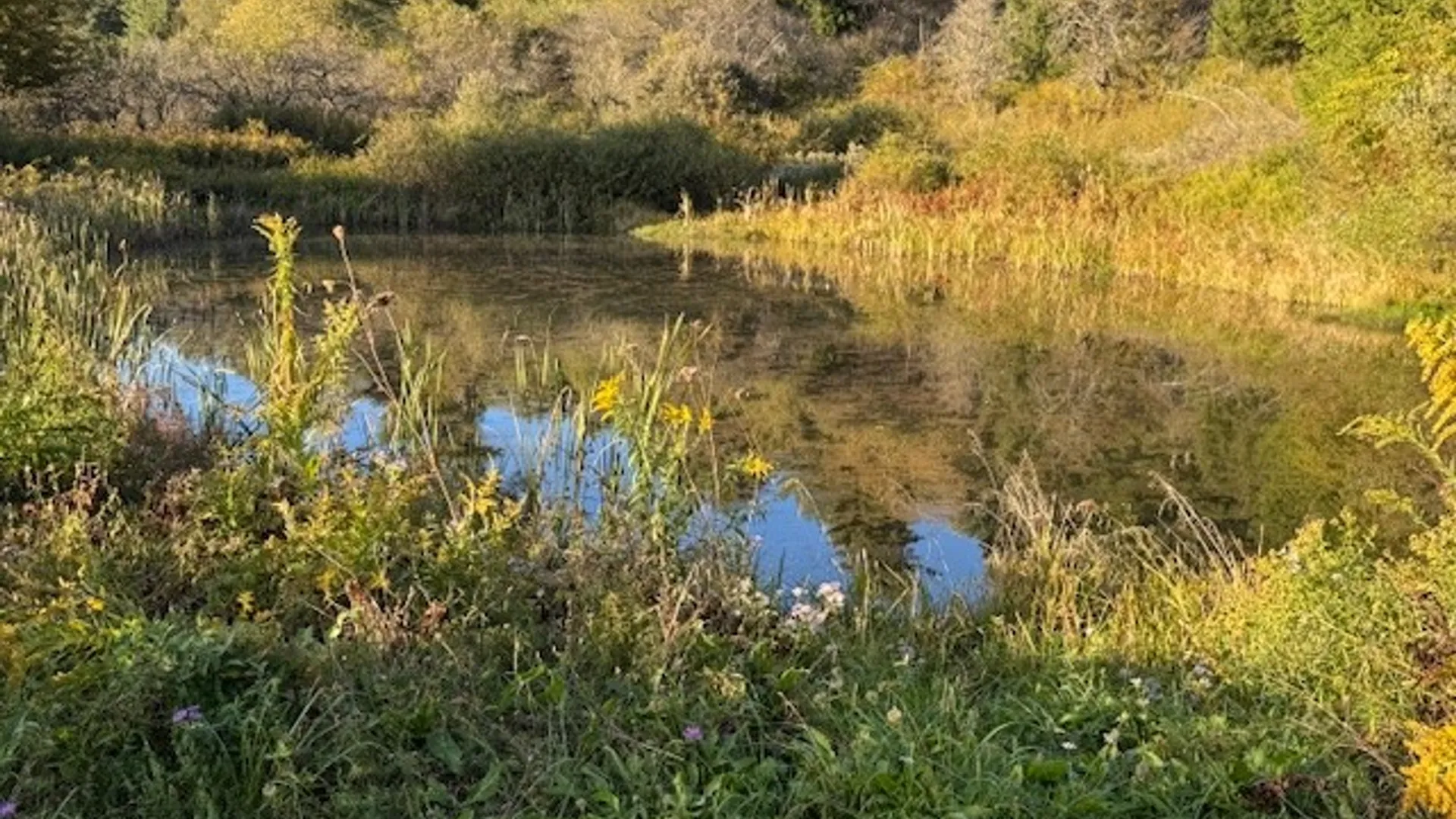 Property at 4380 State Highway 80, Columbus, NY 13460 4