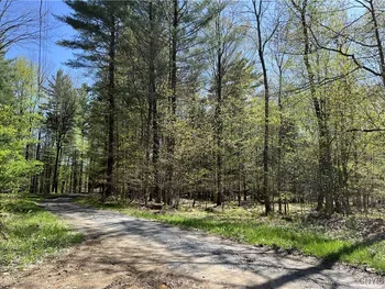 Property at Hemlock Drive, Watson, NY 13367