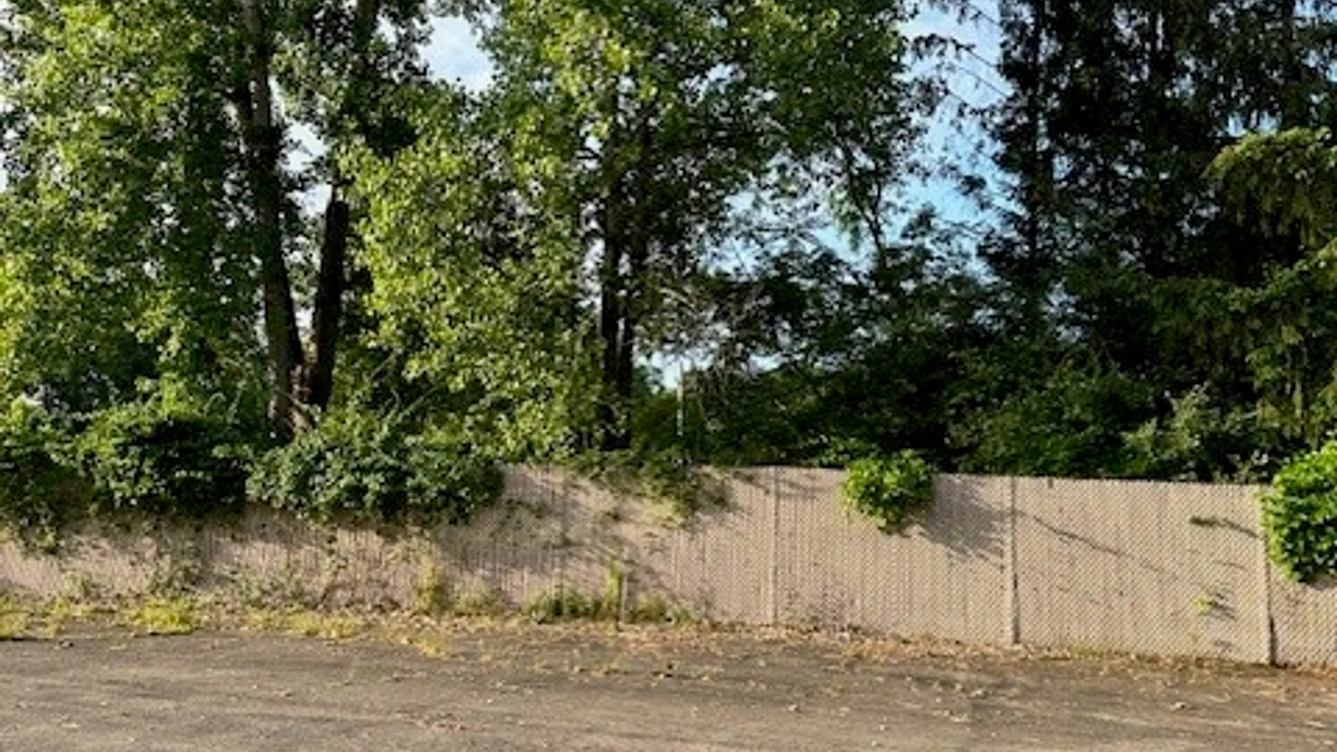 Property at 50 Wilbur Tract Road, Penfield, NY 14609 20