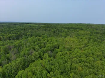 0000 Lynch Road, Norway, NY 13416