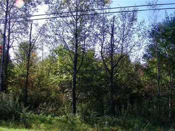 Property at Lot #2 Martin Road, Constantia, NY 13044