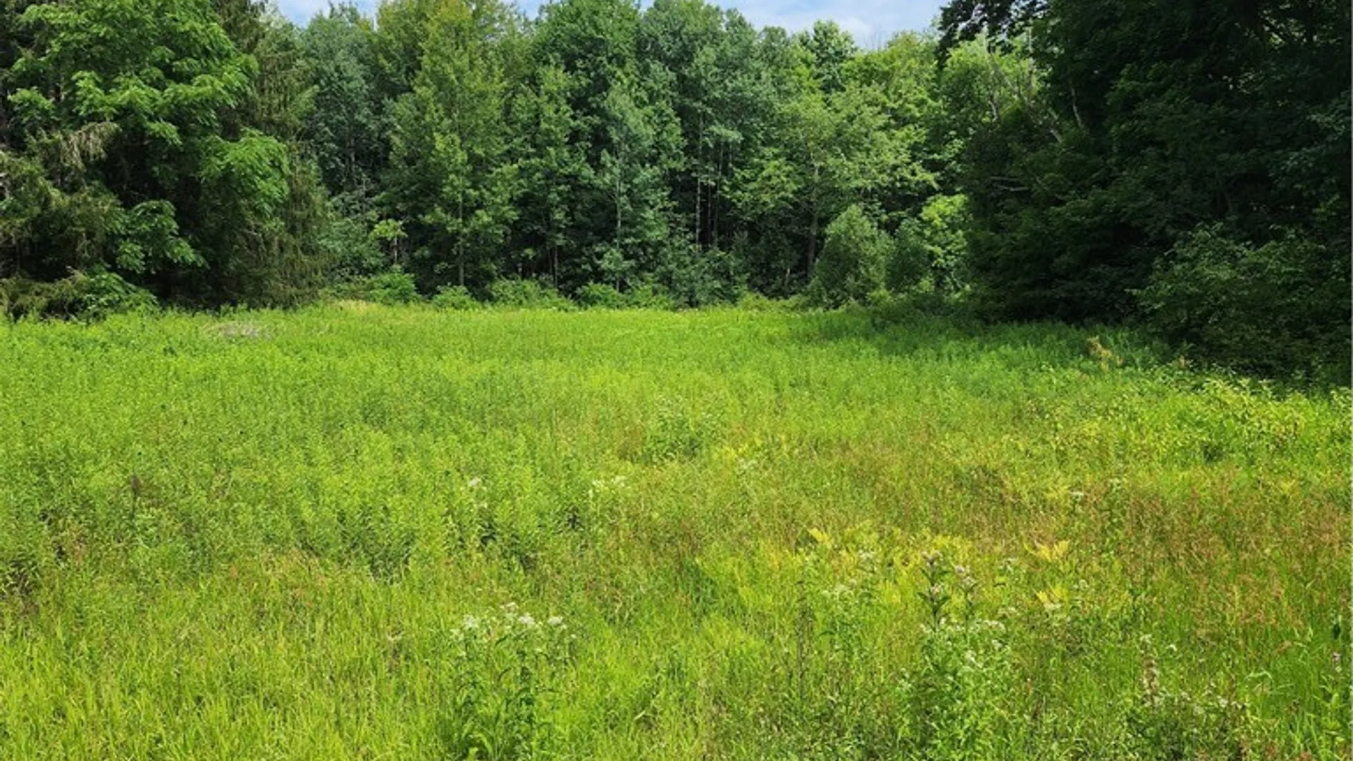 Property at 0 School Street, Mina, NY 14736 2