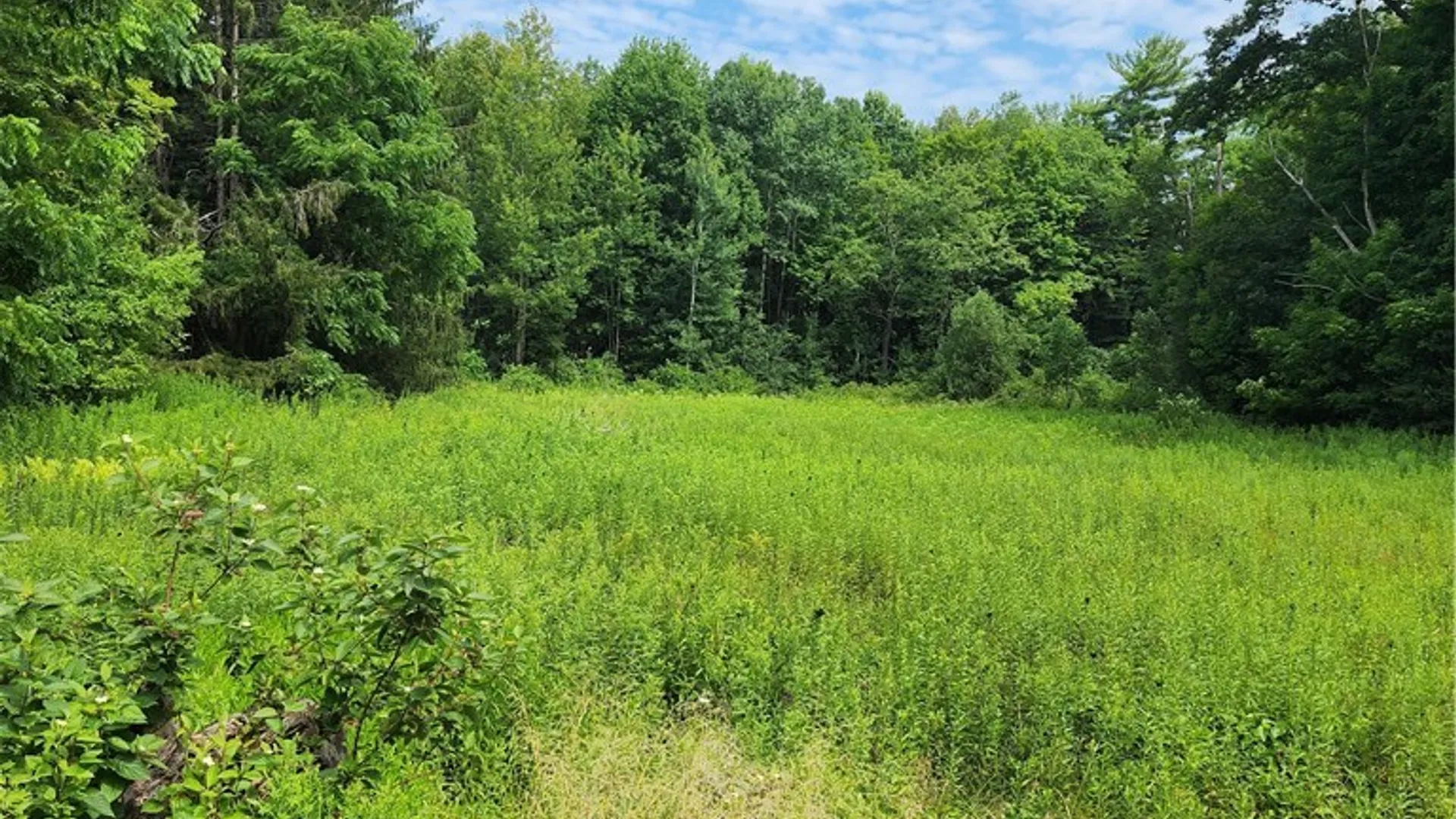 Property at 0 School Street, Mina, NY 14736 6