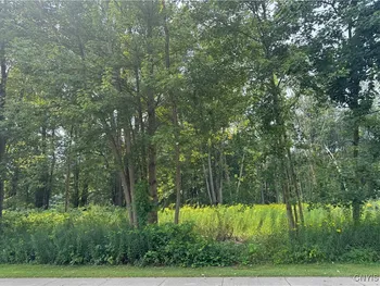 Mcclanathan Avenue, Vienna, NY 13308