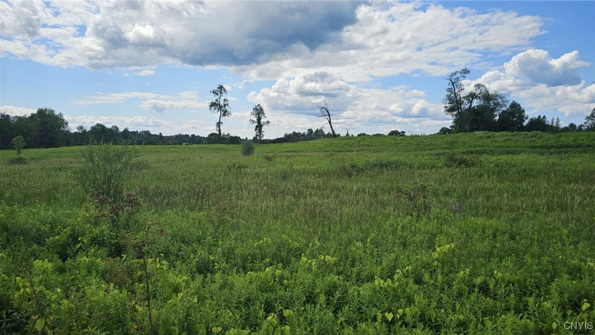 Property at 8083 Link Road, Rome, NY 13440 2