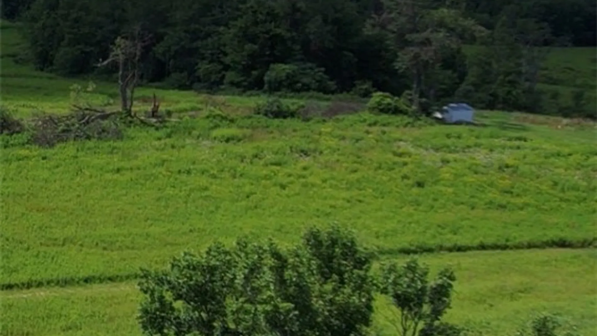 Property at 8083 Link Road, Rome, NY 13440 3