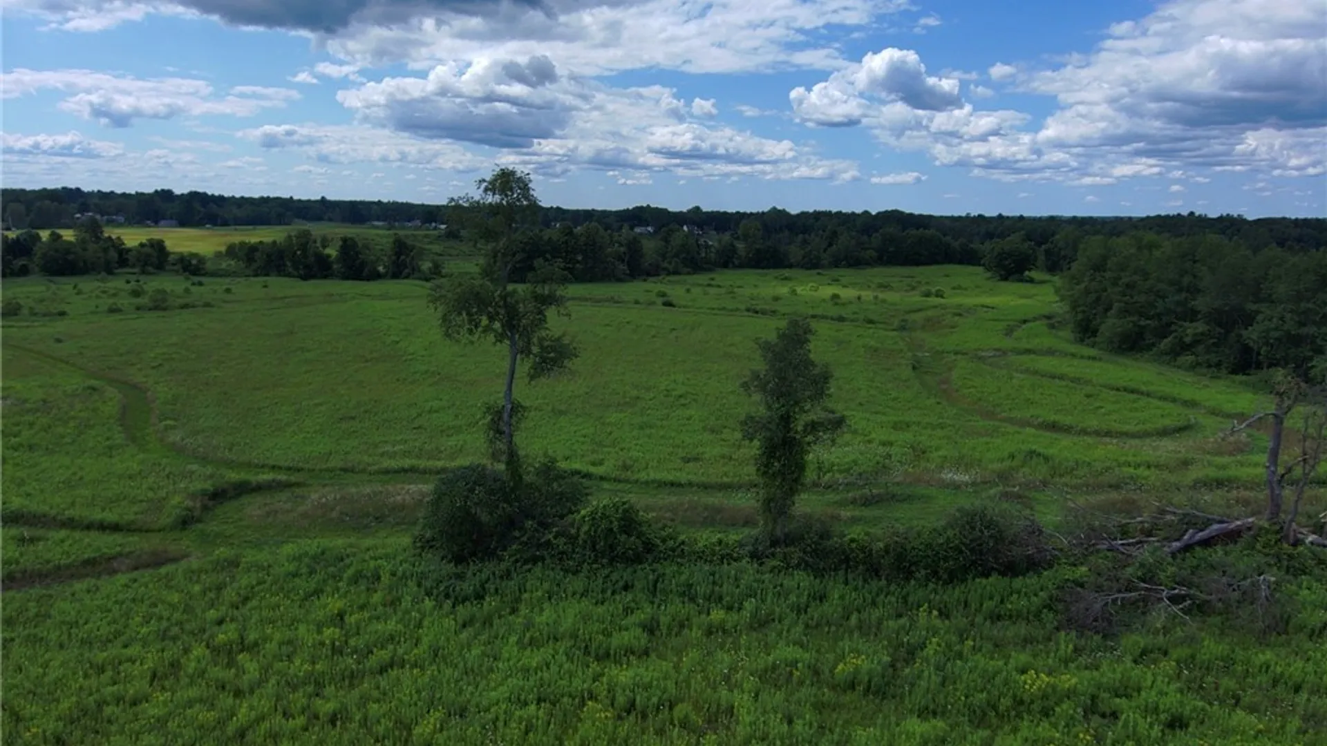 Property at 8083 Link Road, Rome, NY 13440 10