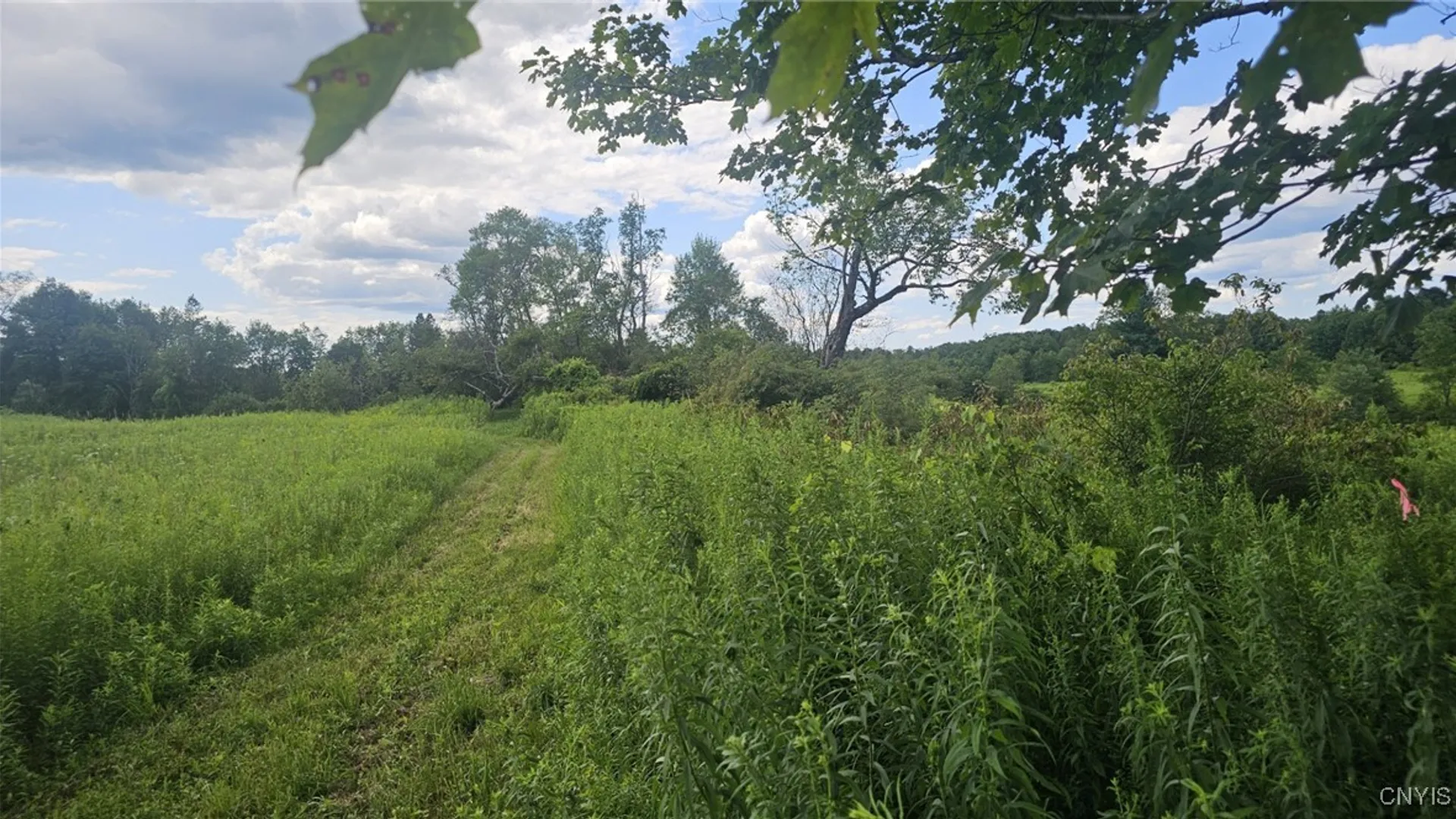 Property at 8083 Link Road, Rome, NY 13440 3