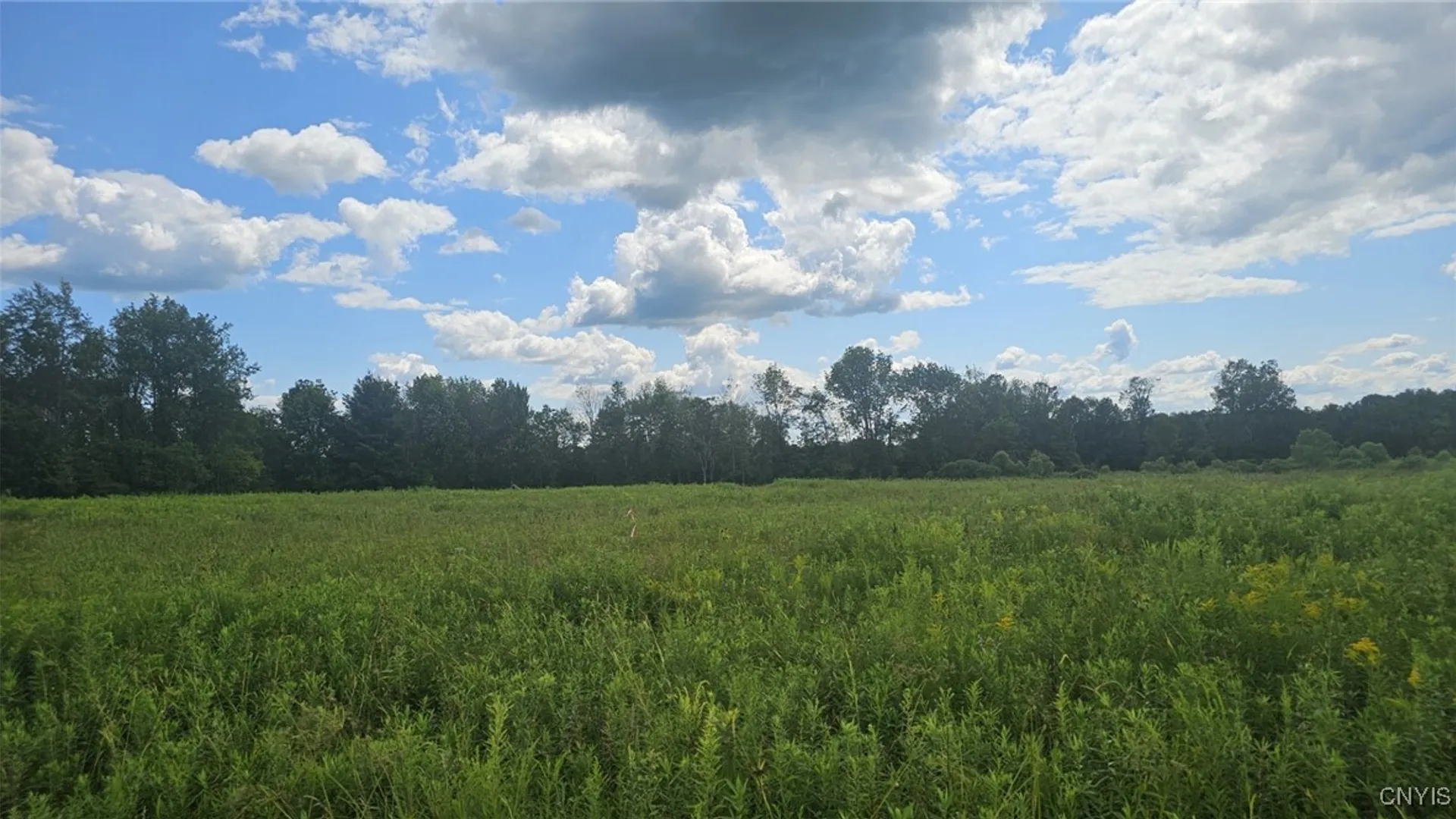 Property at 8083 Link Road, Rome, NY 13440 4