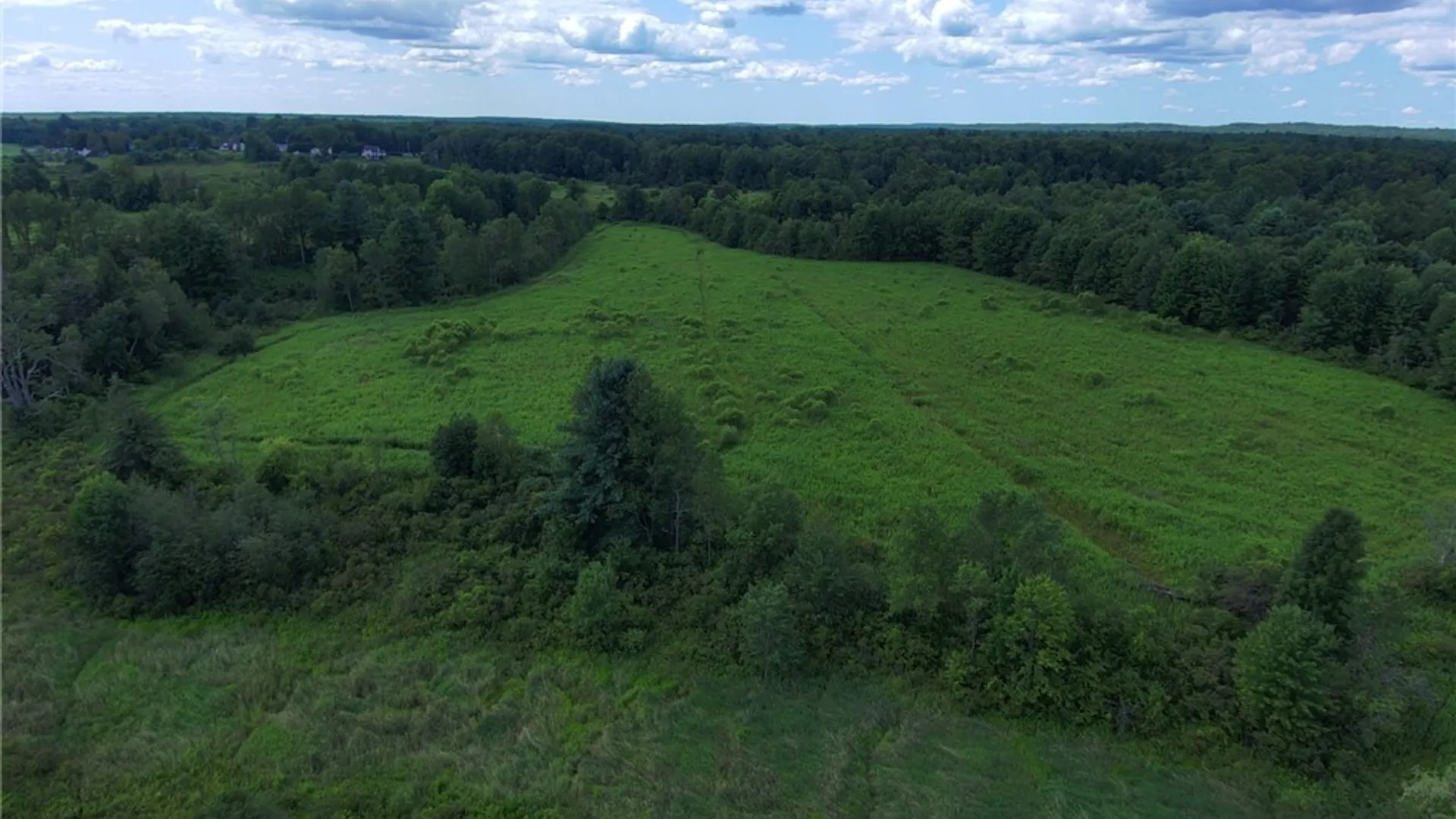 Property at 8083 Link Road, Rome, NY 13440 7