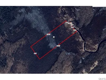 Newcomb Road, De Peyster, NY 13633
