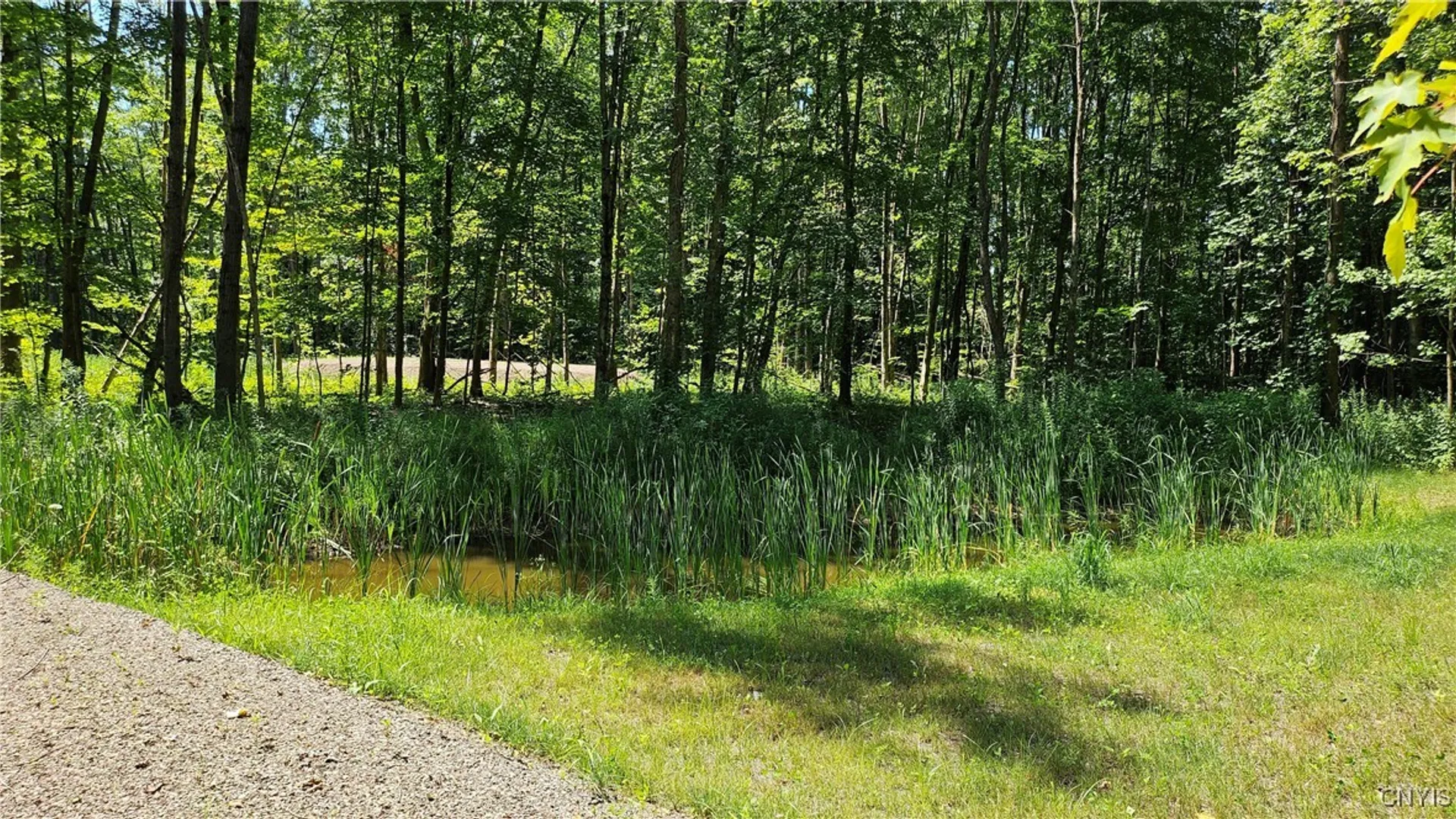 Property at Kenyon Road, Mexico, NY 13114 13