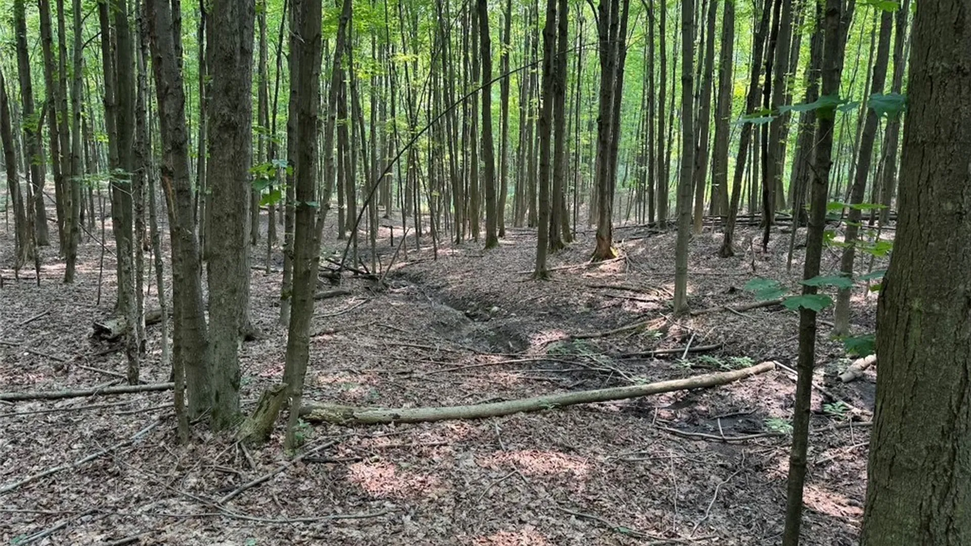 Property at Allen Road, Sardinia, NY 14055 11