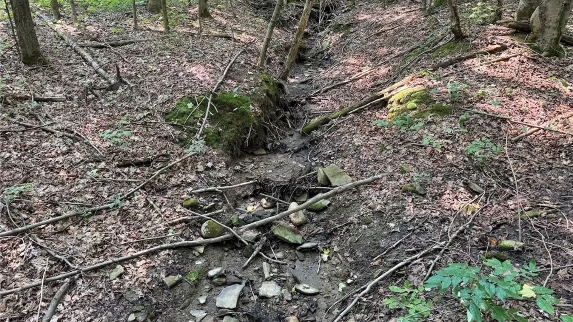 Property at Allen Road, Sardinia, NY 14055 14