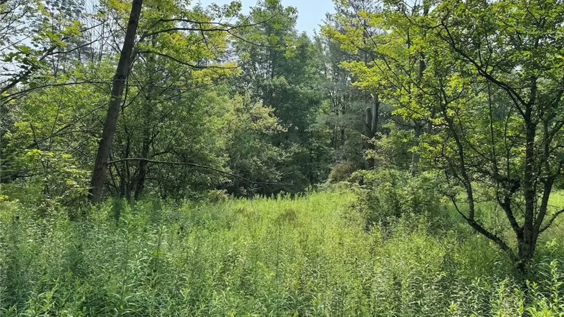 Property at Allen Road, Sardinia, NY 14055 17