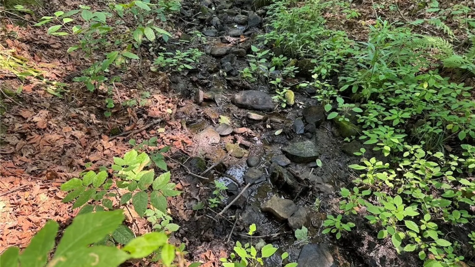 Property at Allen Road, Sardinia, NY 14055 19