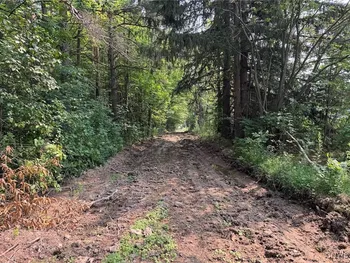 Allen Road, Sardinia, NY 14055
