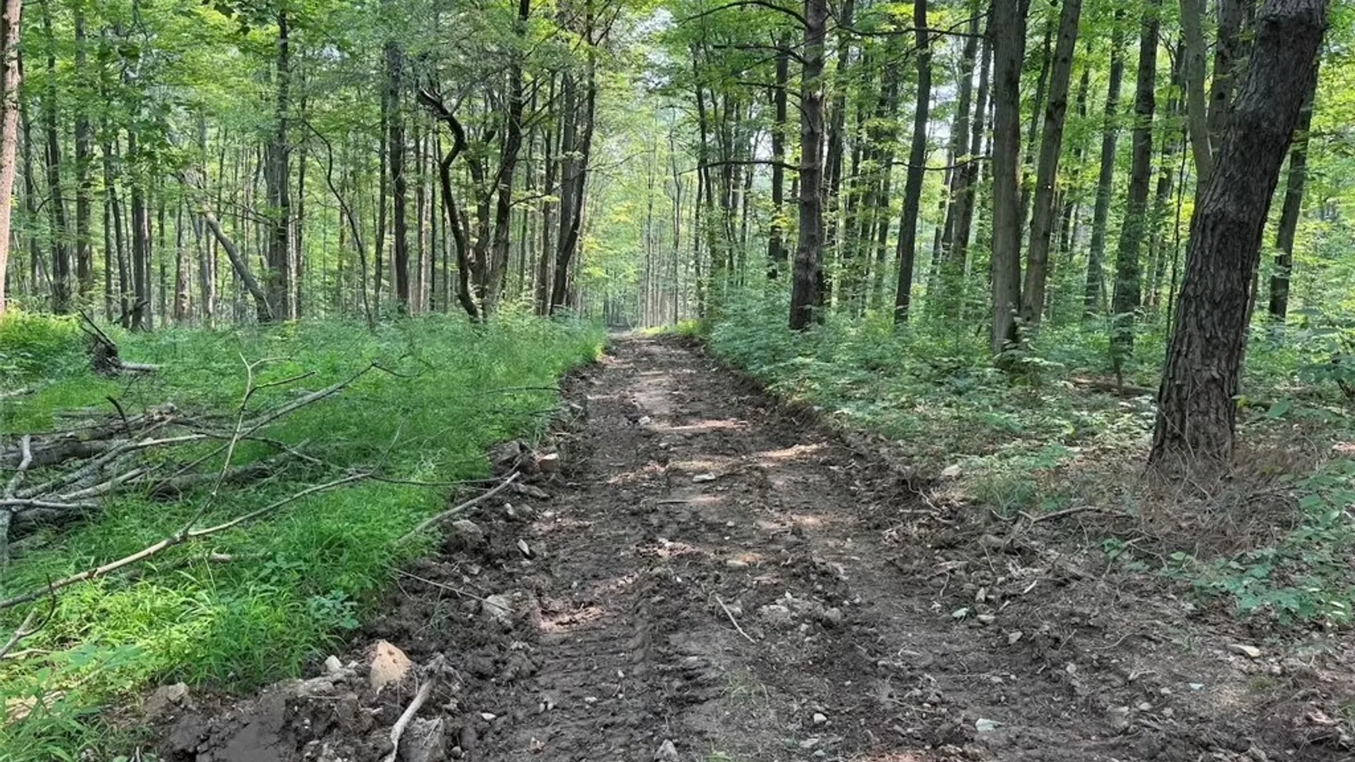 Property at Allen Road, Sardinia, NY 14055 20