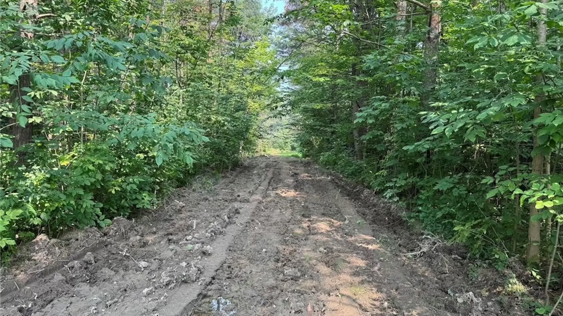 Property at Allen Road, Sardinia, NY 14055 31