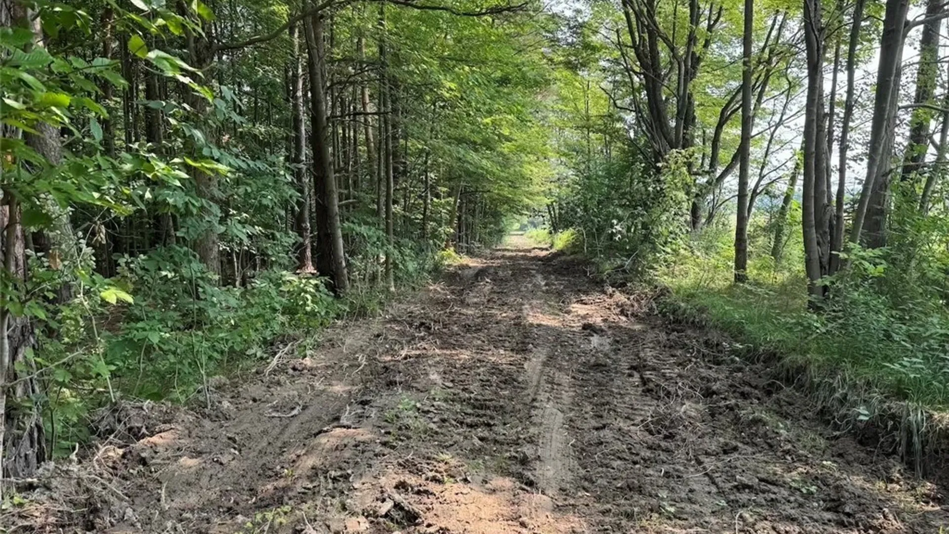 Property at Allen Road, Sardinia, NY 14055 32