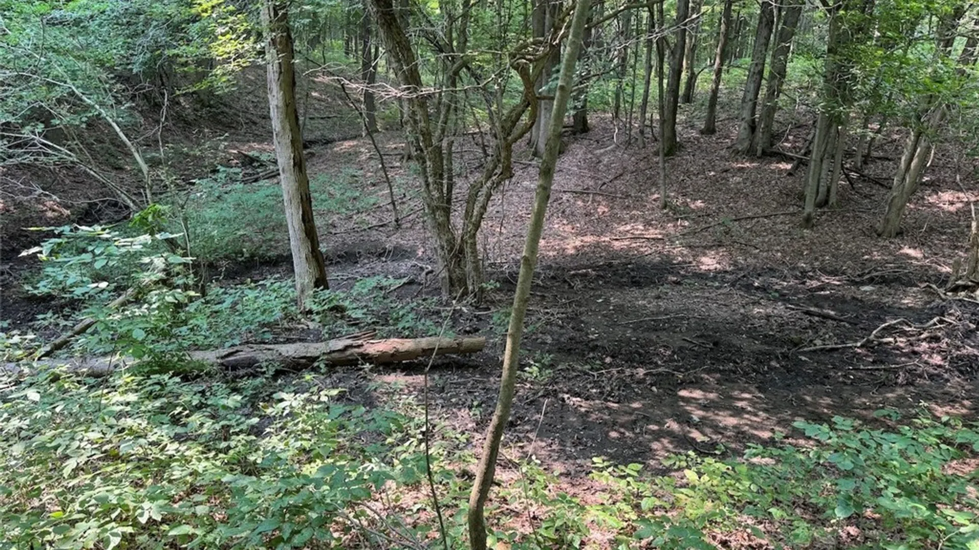 Property at Allen Road, Sardinia, NY 14055 5